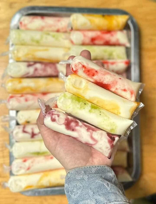 SỮA CHUA DẺO TRÁI CÂY - SET 10C