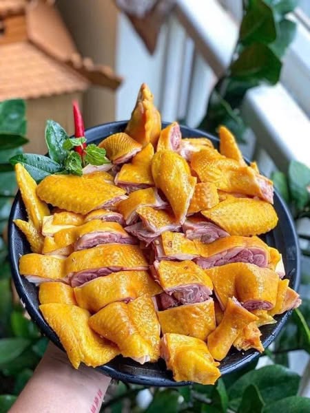 GÀ Ủ MUỐI ÔM TRỨNG THÁI NGUYÊN -1.1KG - 1.3KG