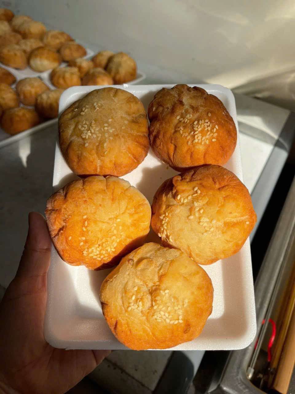 BÁNH BAO CHIÊN NHÂN THỊT TRỨNG CÚT - SET 5 CÁI