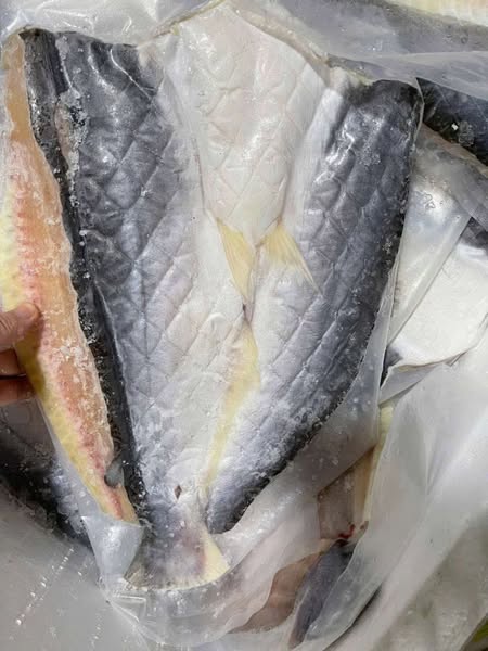 CÁ DỨA NGUYÊN CON 1 NẮNG - (0.9-1KG)