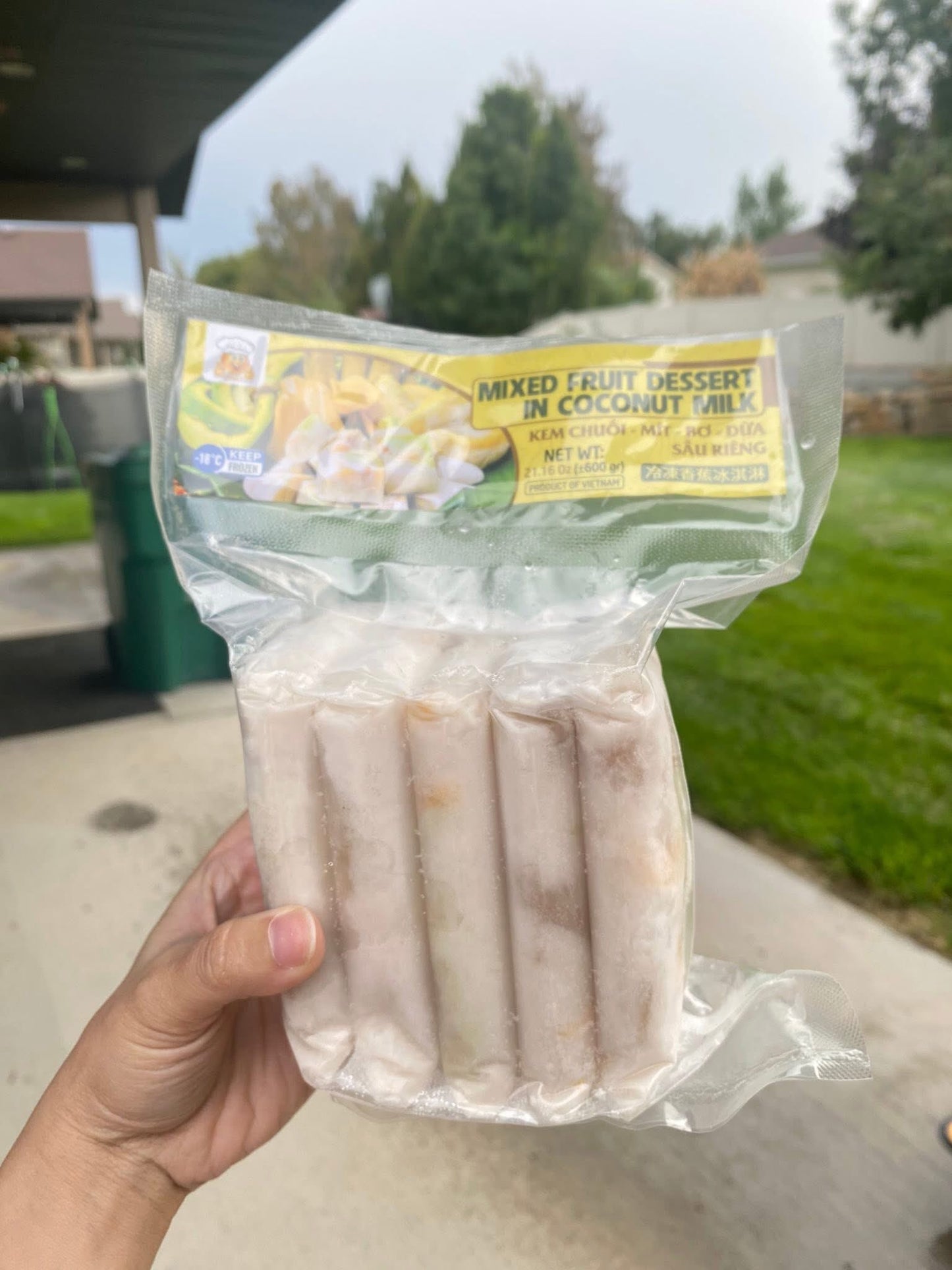 KEM CHUỐI MÍT BƠ DỪA SẦU RIÊNG - 5 BỊCH (600GR)